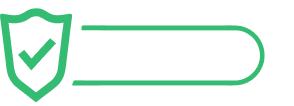 100% Secure