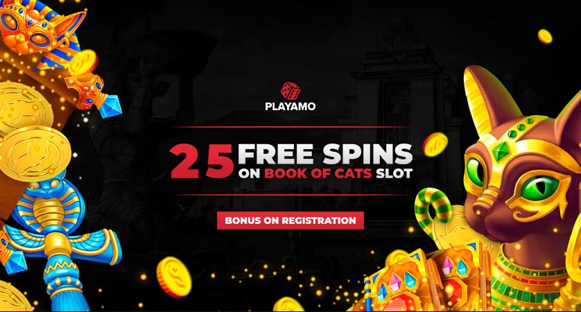 PlayAmo casino free spins – the more spins the merrier wins