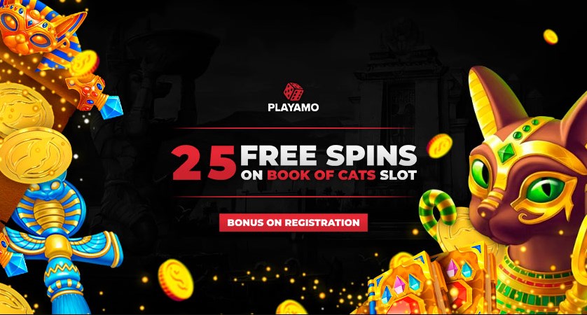 playamo bonus code no deposit