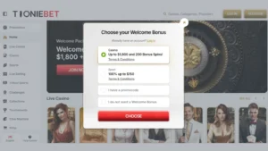 ToonieBet Casino Bonuses